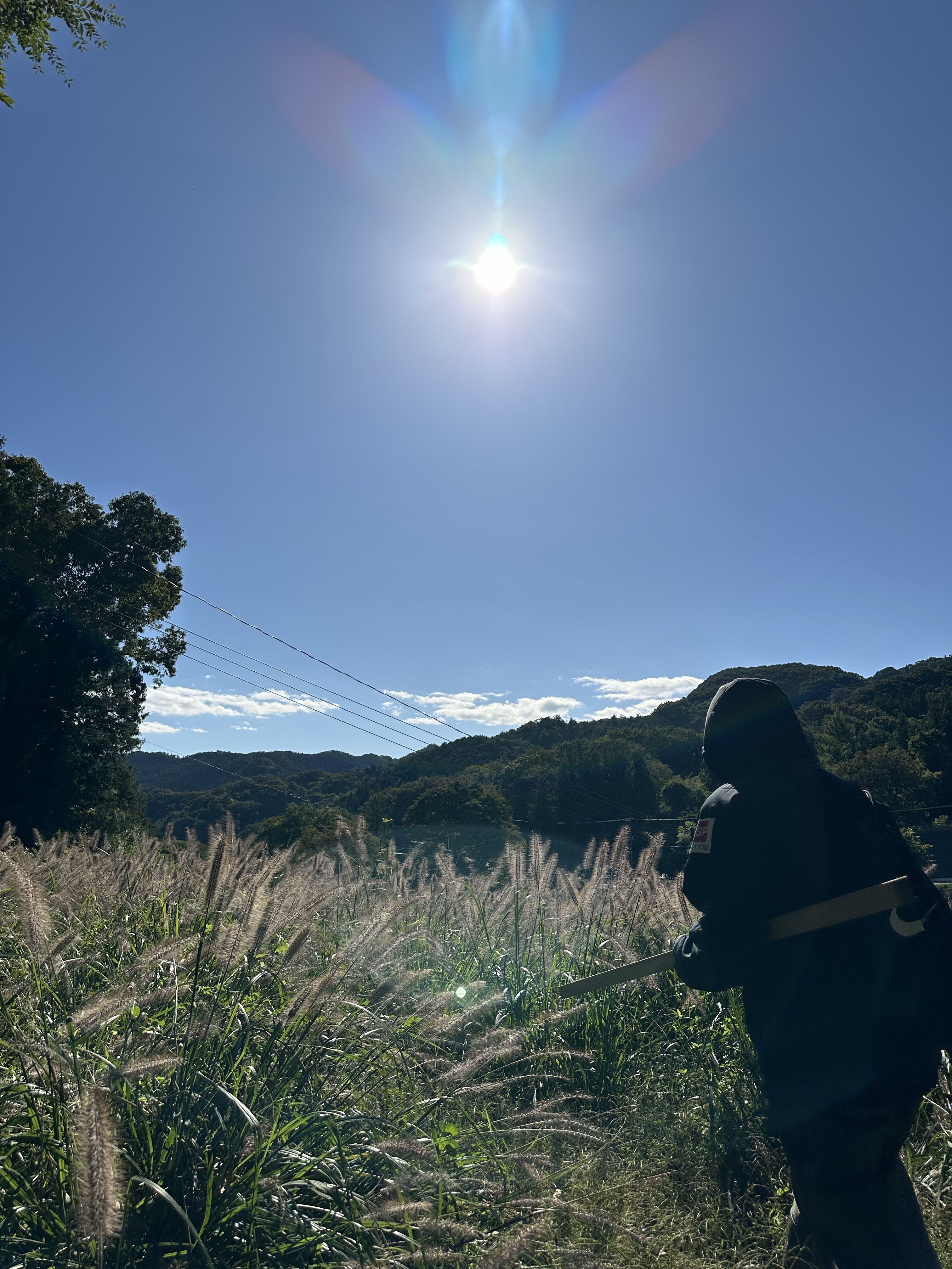 ブログ始めます！